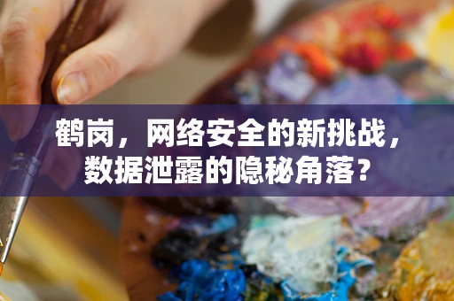 鹤岗，网络安全的新挑战，数据泄露的隐秘角落？