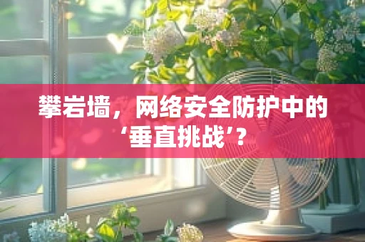 攀岩墙，网络安全防护中的‘垂直挑战’？