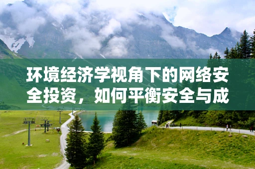 环境经济学视角下的网络安全投资，如何平衡安全与成本？