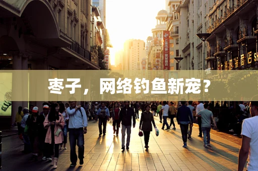 枣子，网络钓鱼新宠？