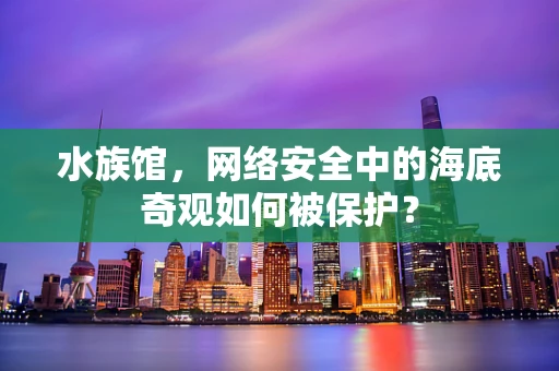 水族馆，网络安全中的海底奇观如何被保护？