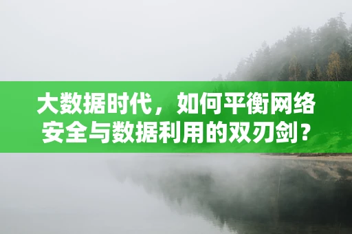 大数据时代，如何平衡网络安全与数据利用的双刃剑？