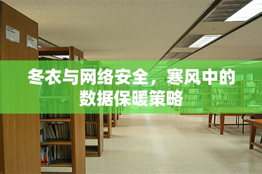 冬衣与网络安全，寒风中的数据保暖策略