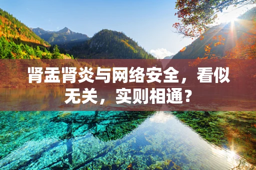 肾盂肾炎与网络安全，看似无关，实则相通？