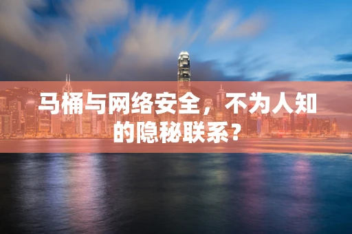 马桶与网络安全，不为人知的隐秘联系？