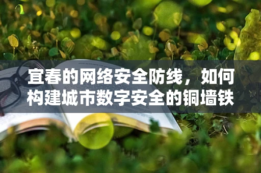 宜春的网络安全防线，如何构建城市数字安全的铜墙铁壁？