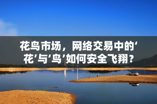 花鸟市场，网络交易中的‘花’与‘鸟’如何安全飞翔？