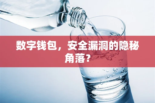数字钱包，安全漏洞的隐秘角落？