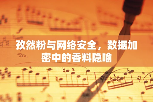 孜然粉与网络安全，数据加密中的香料隐喻