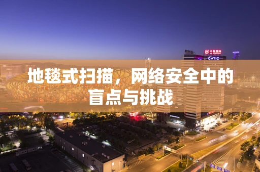 地毯式扫描，网络安全中的盲点与挑战