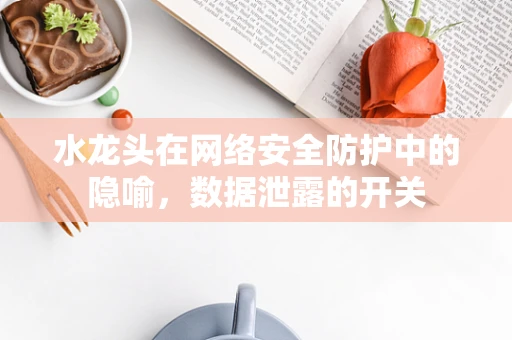 水龙头在网络安全防护中的隐喻，数据泄露的开关