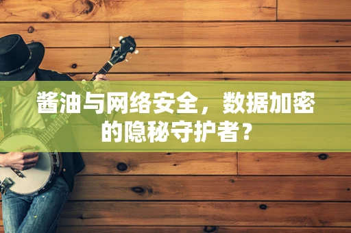 酱油与网络安全，数据加密的隐秘守护者？