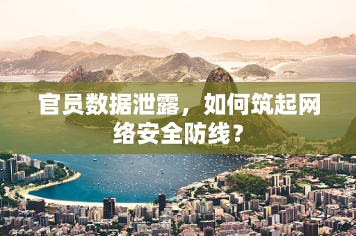 官员数据泄露，如何筑起网络安全防线？