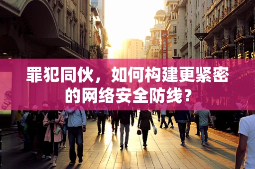 罪犯同伙，如何构建更紧密的网络安全防线？