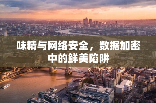 味精与网络安全，数据加密中的鲜美陷阱