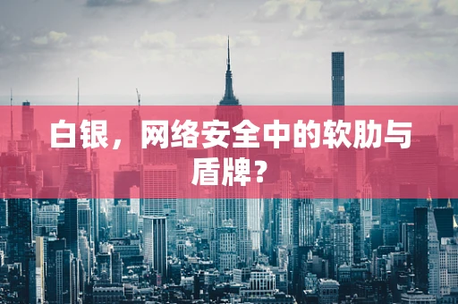 白银，网络安全中的软肋与盾牌？