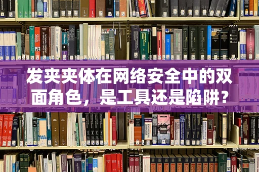 发夹夹体在网络安全中的双面角色，是工具还是陷阱？