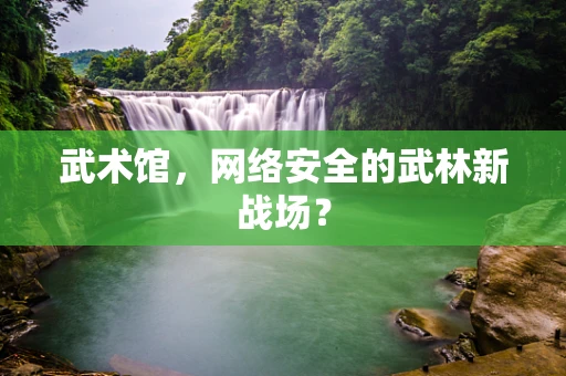 武术馆，网络安全的武林新战场？