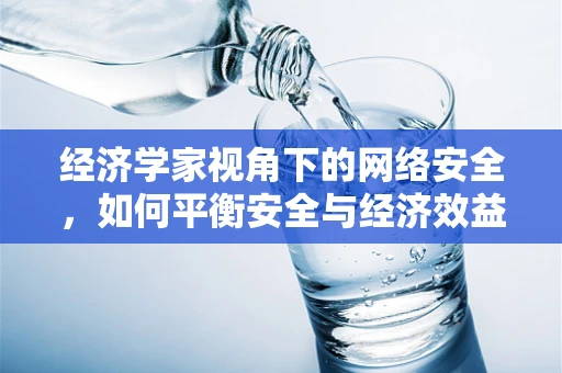 经济学家视角下的网络安全，如何平衡安全与经济效益？
