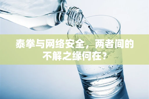 泰拳与网络安全，两者间的不解之缘何在？