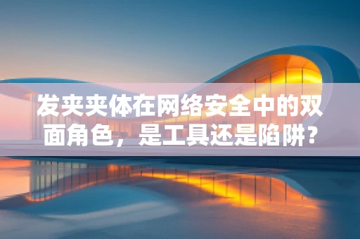 发夹夹体在网络安全中的双面角色，是工具还是陷阱？