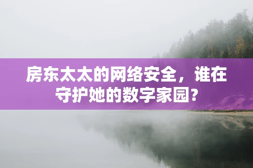 房东太太的网络安全，谁在守护她的数字家园？