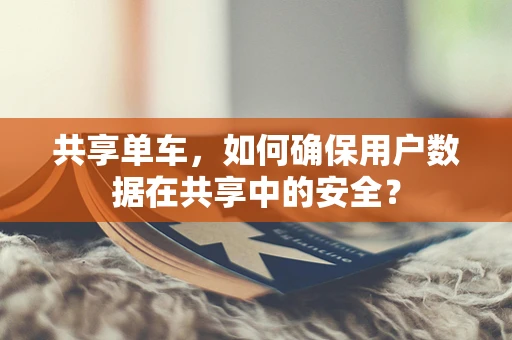 共享单车，如何确保用户数据在共享中的安全？