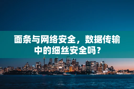 面条与网络安全，数据传输中的细丝安全吗？