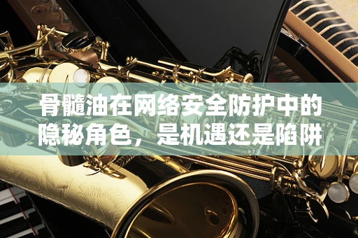 骨髓油在网络安全防护中的隐秘角色，是机遇还是陷阱？