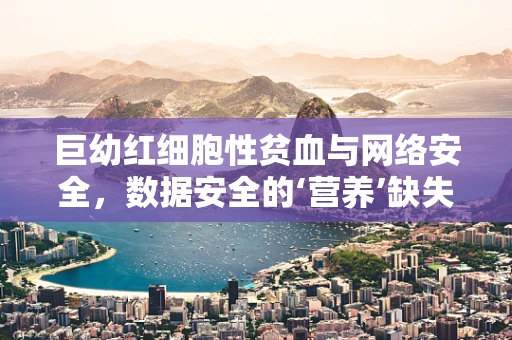 巨幼红细胞性贫血与网络安全，数据安全的‘营养’缺失？