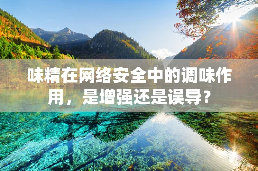 味精在网络安全中的调味作用，是增强还是误导？