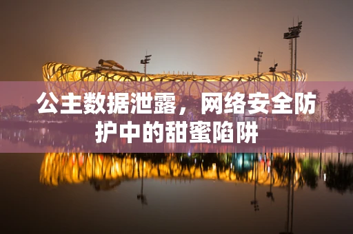 公主数据泄露，网络安全防护中的甜蜜陷阱