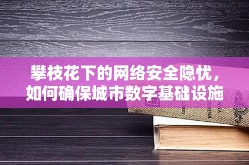 攀枝花下的网络安全隐忧，如何确保城市数字基础设施的安全无虞？