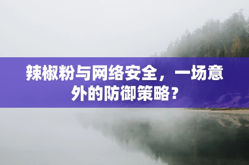 辣椒粉与网络安全，一场意外的防御策略？