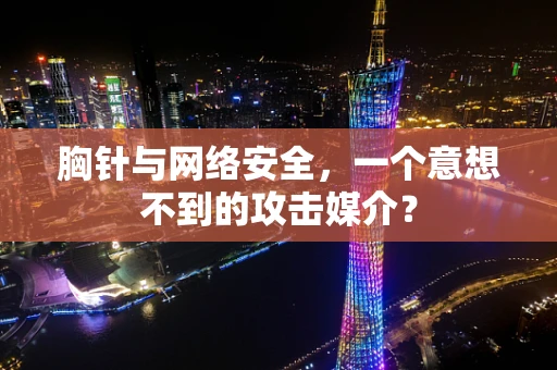 胸针与网络安全，一个意想不到的攻击媒介？