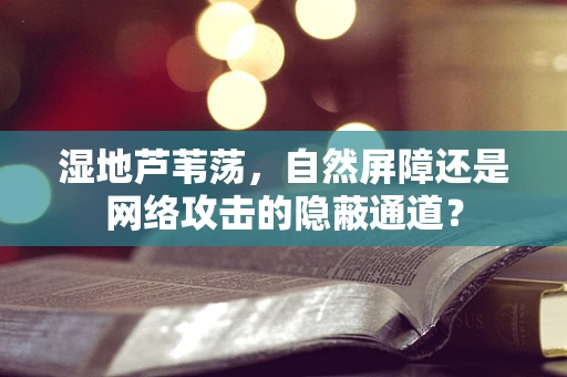 湿地芦苇荡，自然屏障还是网络攻击的隐蔽通道？