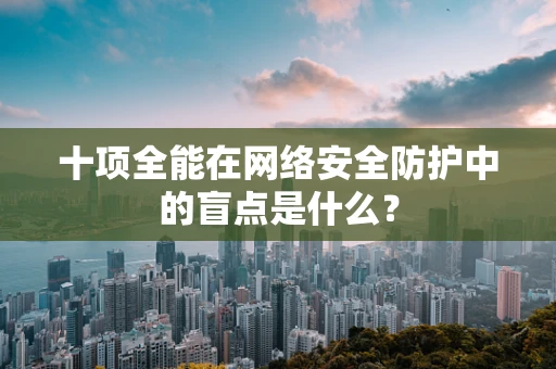 十项全能在网络安全防护中的盲点是什么？