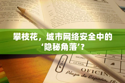 攀枝花，城市网络安全中的‘隐秘角落’？