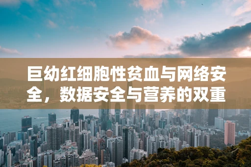 巨幼红细胞性贫血与网络安全，数据安全与营养的双重挑战