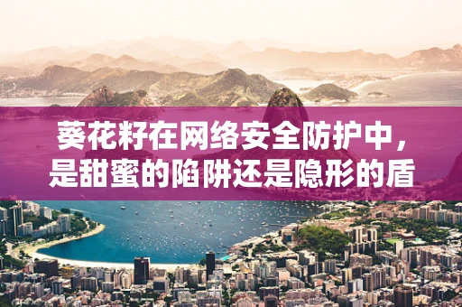 葵花籽在网络安全防护中，是甜蜜的陷阱还是隐形的盾牌？