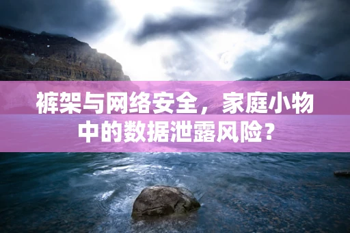 裤架与网络安全，家庭小物中的数据泄露风险？