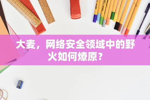大麦，网络安全领域中的野火如何燎原？