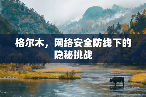 格尔木，网络安全防线下的隐秘挑战