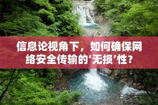 信息论视角下，如何确保网络安全传输的‘无损’性？