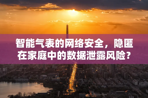 智能气表的网络安全，隐匿在家庭中的数据泄露风险？