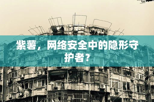 紫薯，网络安全中的隐形守护者？