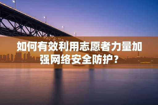 如何有效利用志愿者力量加强网络安全防护？