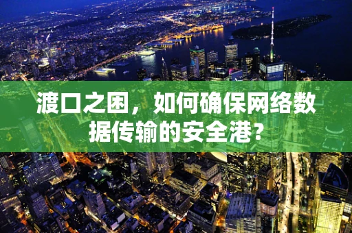 渡口之困，如何确保网络数据传输的安全港？