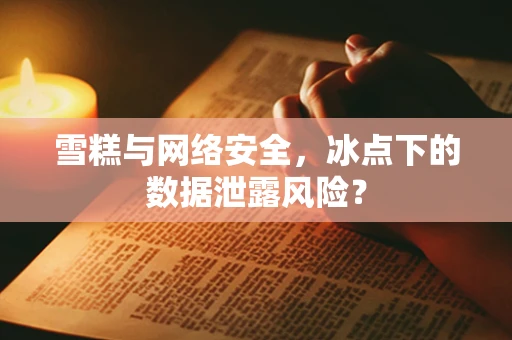 雪糕与网络安全，冰点下的数据泄露风险？