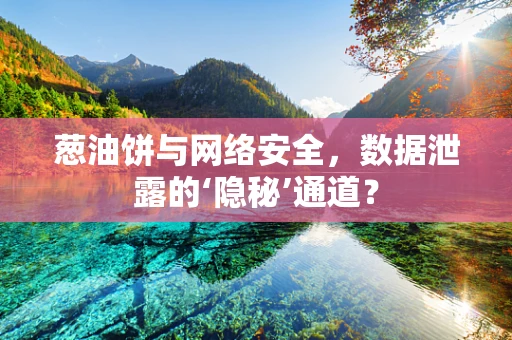 葱油饼与网络安全，数据泄露的‘隐秘’通道？